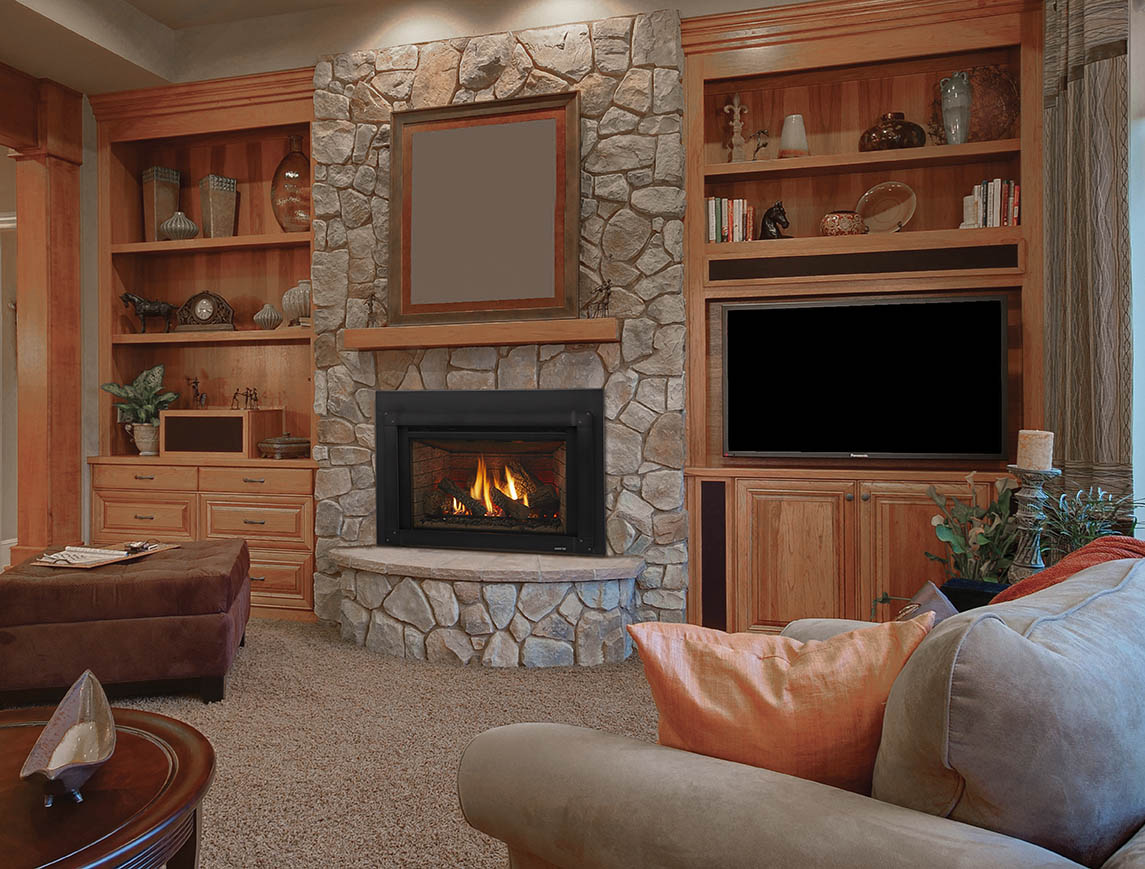 Excursion Insert II - Condor Fireplace & Stone Company